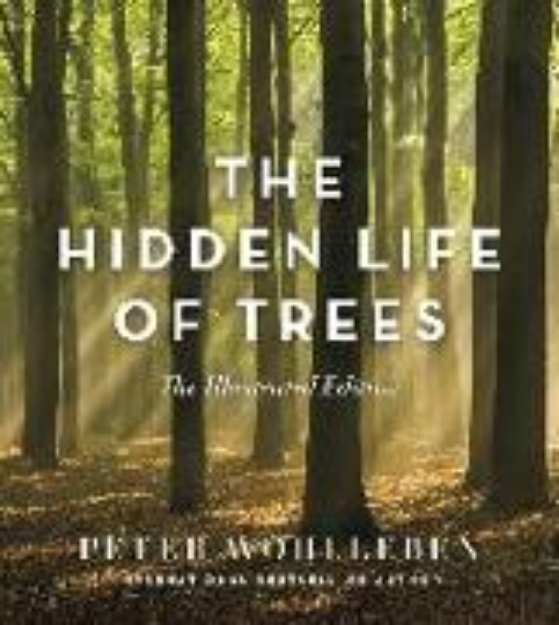 Bild von The Hidden Life of Trees